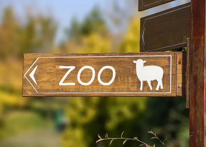 Surfside Shores 2902